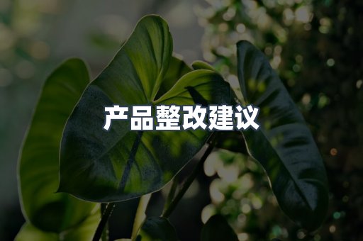 医疗器械CE认证